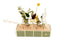 Small Flower Bar Matt Olive Green & Beige