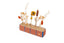 The Small Flower Bar